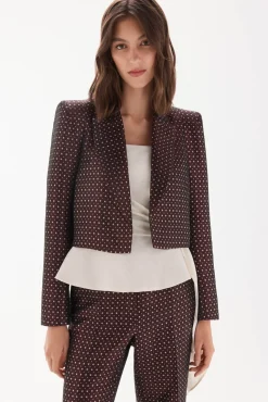 Blazer fantasia
