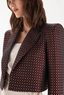 Blazer fantasia