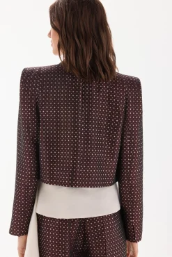 Blazer fantasia