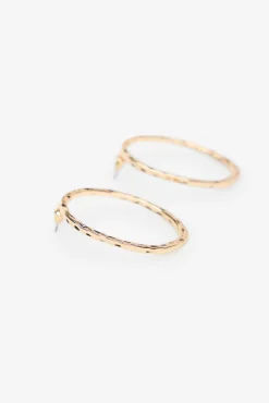 Brincos de argola com strass