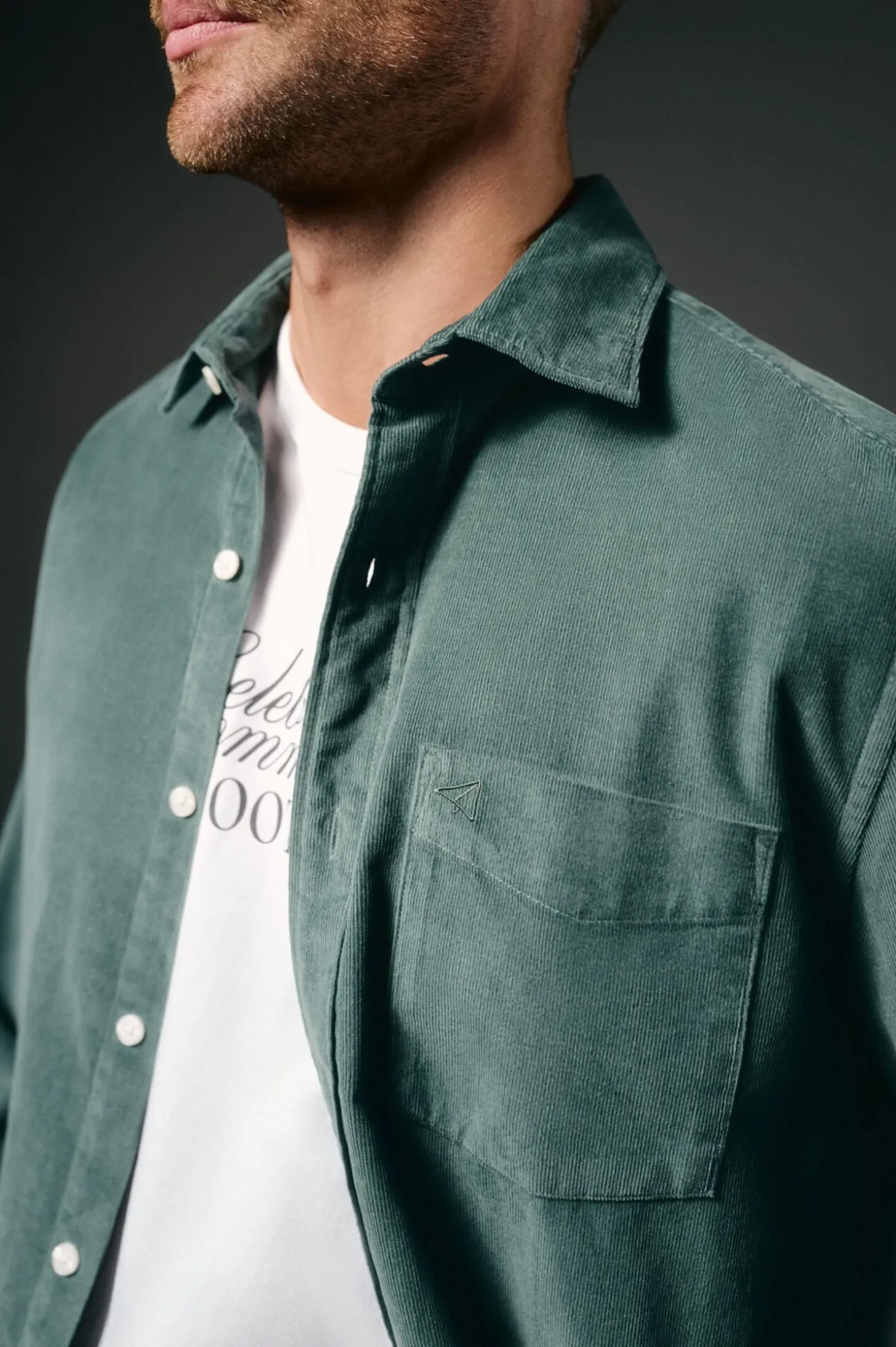 Camisa de microveludo lisa
