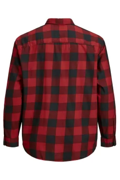 Camisa PLUS de regular fit
