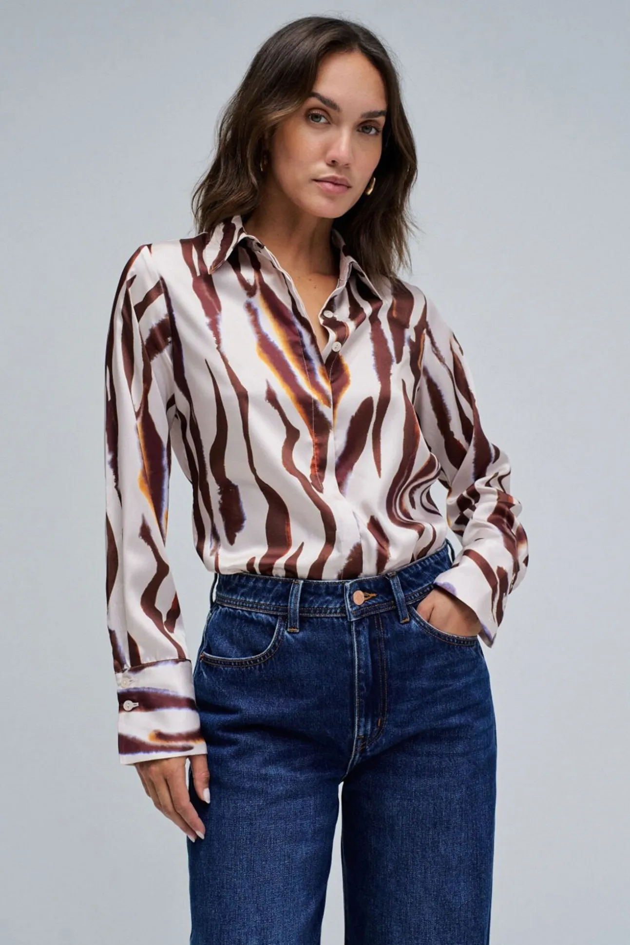 Camisa regular