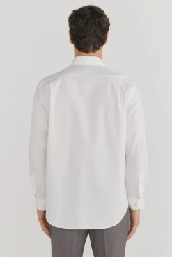 Camisa social lisa que não pode ser passada a ferro + resistente a manchas