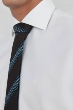 Camisa social lisa que não pode ser passada a ferro + resistente a manchas