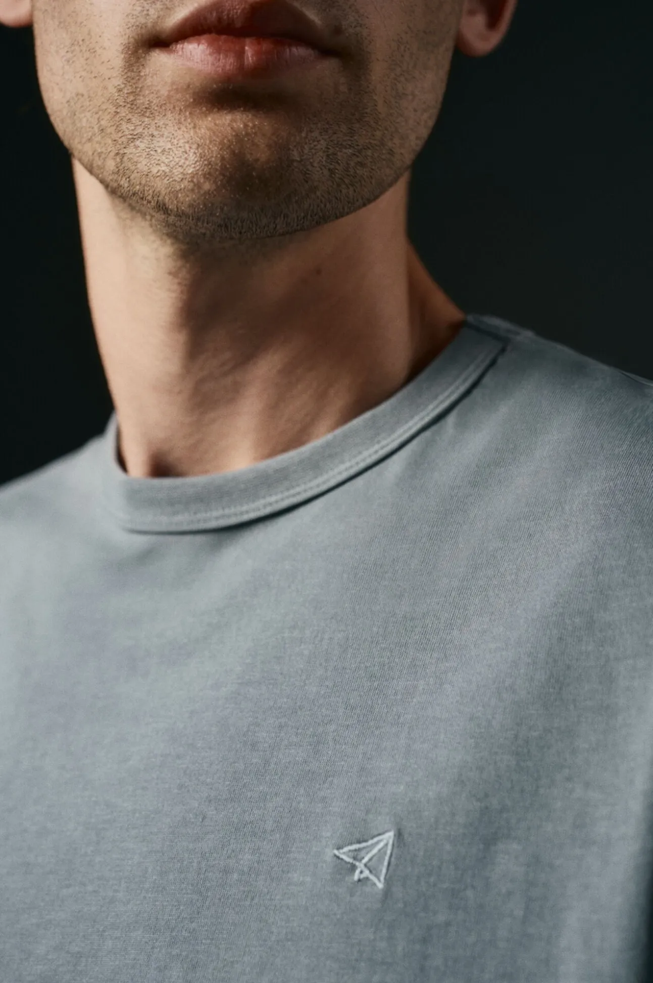 Camiseta básica com bordado de avião