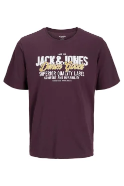 Camiseta PLUS de corte regular