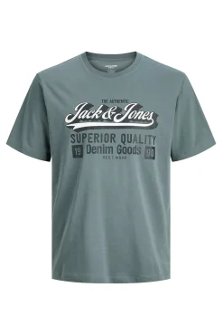 Camiseta PLUS de corte regular