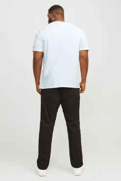 Camiseta PLUS de corte regular
