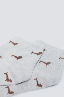 Meia curtas para cães