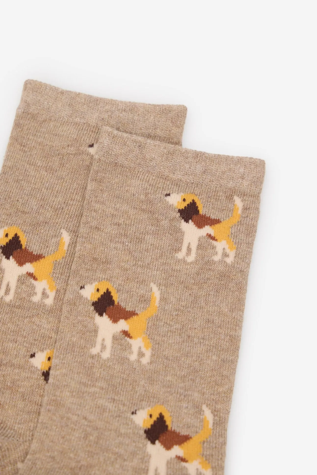 Meia longa Beagle