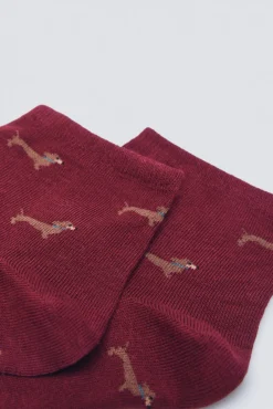 Meias curtas para cães