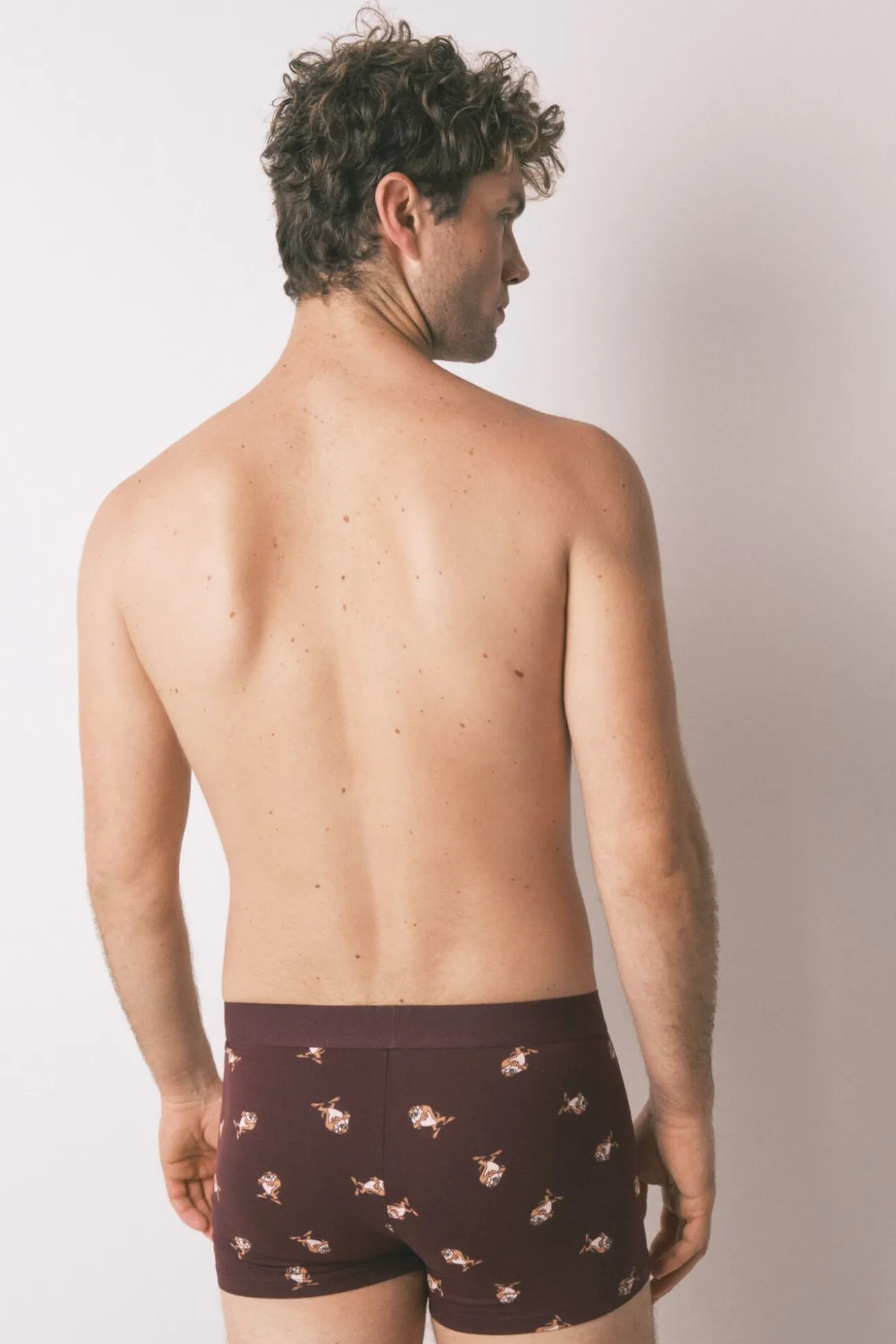 Pack de 2 cuecas de algodão "Taz"