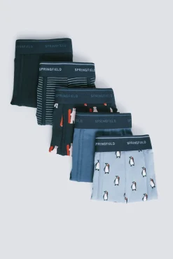 Pacote com 5 boxers de algodão estampados