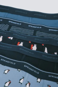 Pacote com 5 boxers de algodão estampados