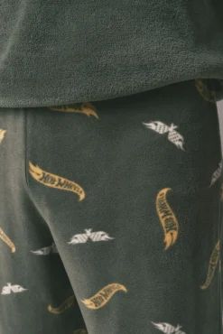 Pijama comprido masculino polar verde Hotwheels