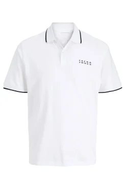 Polo de corte regular
