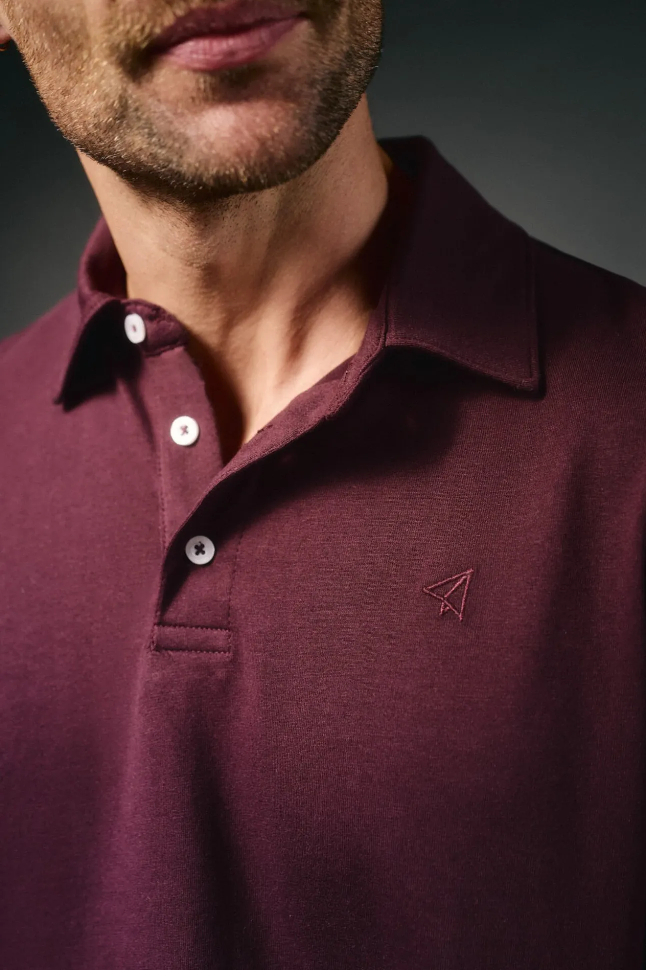 Polo de mão longa