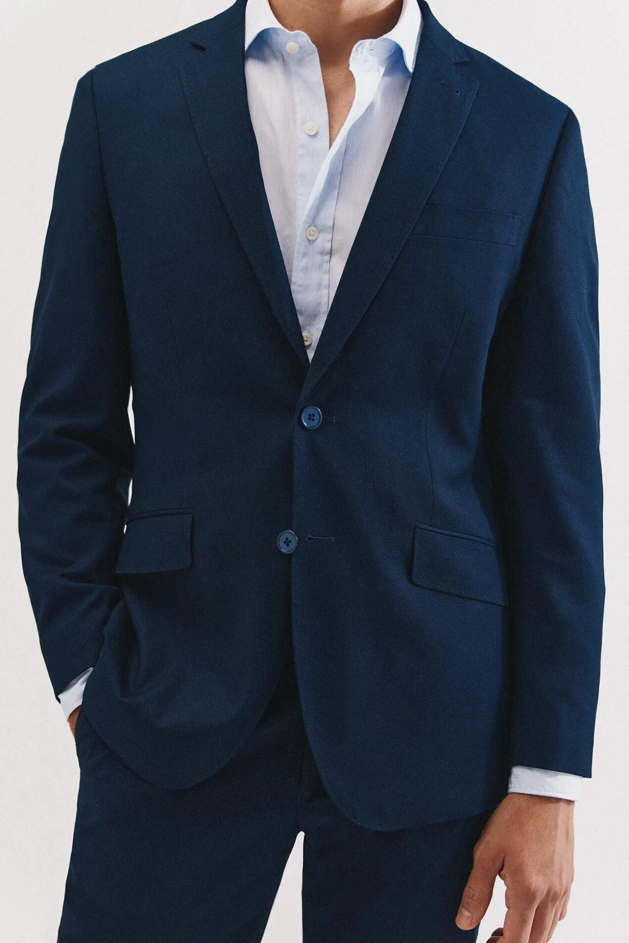 Série XXI de olho de pássaro azul americano