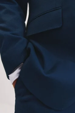 Série XXI de olho de pássaro azul americano