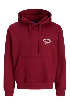 Sweatshirt capuz do estúdio