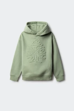 Sweatshirt de capuz