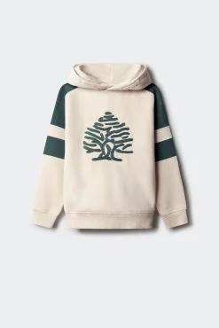 Sweatshirt de capuz