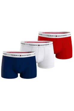 Tanga de renda Intrinsic