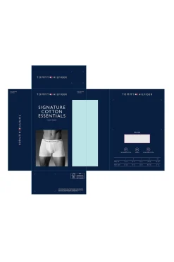 Tanga de renda Intrinsic