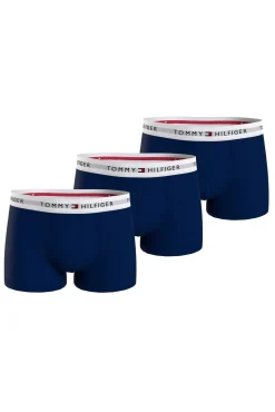 Tanga de renda Intrinsic